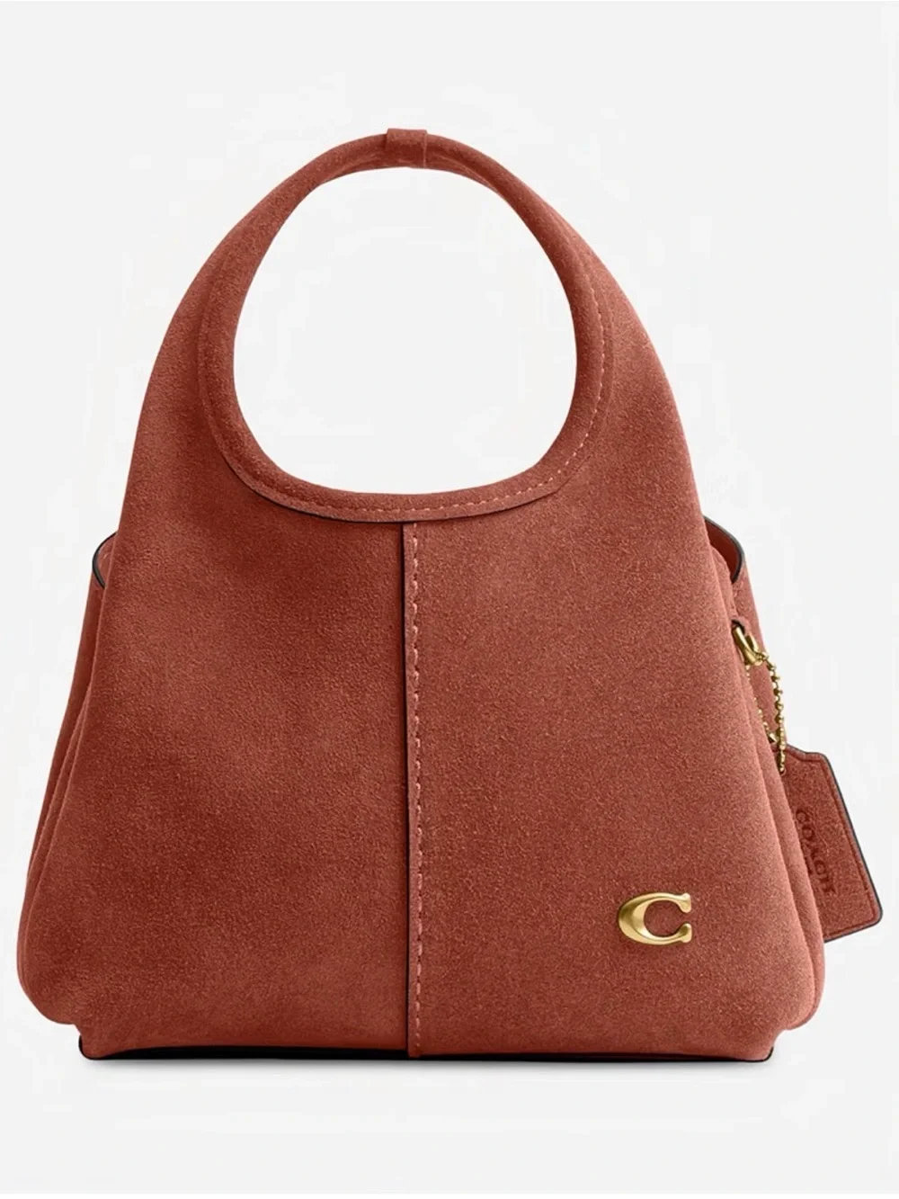 Coach Lana mini Suede shoulder bag 19